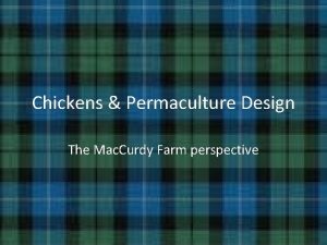 Chickens Permaculture Design The Mac Curdy Farm perspective