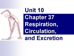 Chapter 37 respiration circulation and excretion