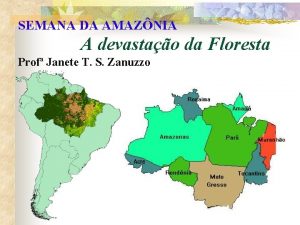 SEMANA DA AMAZNIA A devastao da Floresta Prof