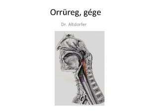 Orrreg gge Dr Altdorfer 1 Os nasale 2