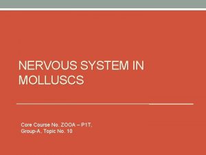 NERVOUS SYSTEM IN MOLLUSCS Core Course No ZOOA