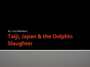 By Troy Mahabeer Taiji Japan the Dolphin Slaughter
