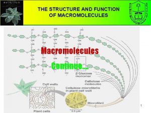 THE STRUCTURE AND FUNCTION OF MACROMOLECULES Macromolecules Continuo