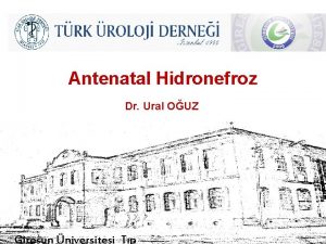 Antenatal Hidronefroz Dr Ural OUZ Giresun niversitesi Tp