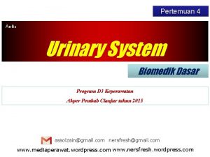 Pertemuan 4 Anfis Urinary System Biomedik Dasar Program