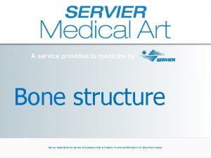 Servier medical art