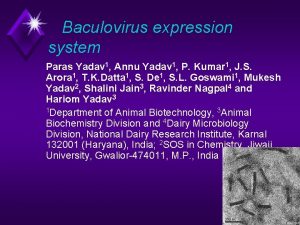 Baculovirus expression system Paras Yadav 1 Annu Yadav