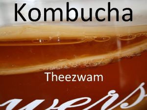 Kombucha Theezwam Wat is Kombucha theezwam Eigenlijk is