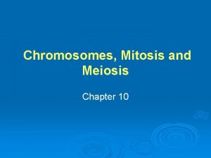 Synapsis of homologous chromosomes in meiosis