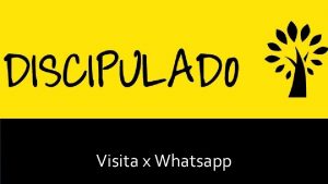 Visita x Whatsapp Tudo quanto tem flego louve