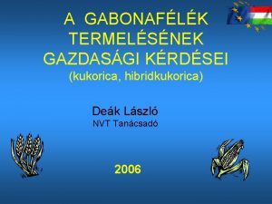 A GABONAFLK TERMELSNEK GAZDASGI KRDSEI kukorica hibridkukorica Dek