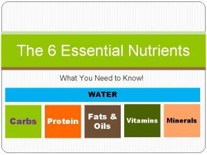 6 essential nutrients and their functions