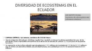 Bioclima xérico características