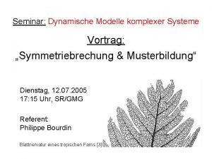 Seminar Dynamische Modelle komplexer Systeme Vortrag Symmetriebrechung Musterbildung