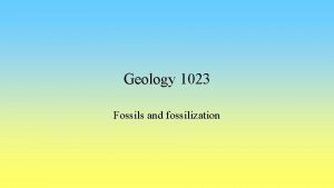 Geology 1023 Fossils and fossilization Importance of fossils