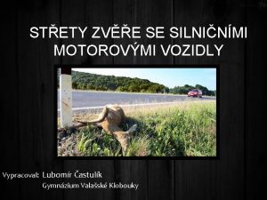 STETY ZVE SE SILNINMI MOTOROVMI VOZIDLY Vypracoval Lubomr