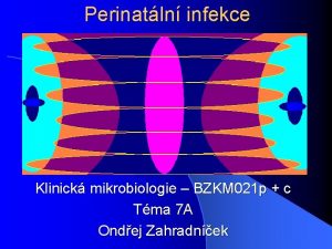 Perinatln infekce Klinick mikrobiologie BZKM 021 p c