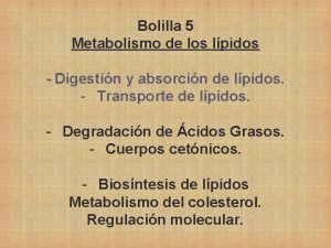 Bolilla 5 Metabolismo de los lpidos Digestin y