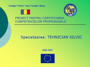 Colegiul Tehnic Ioan Ciorda Beiu PROIECT PENTRU CERTIFICAREA