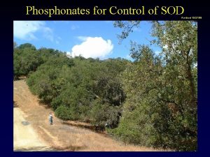 Phosphonates for Control of SOD Revised 102709 Phosphonate