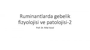 Ruminantlarda gebelik fizyolojisi ve patolojisi2 Prof Dr Rfat