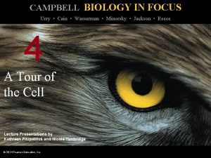 CAMPBELL BIOLOGY IN FOCUS Urry Cain Wasserman Minorsky