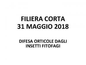 Macerato contro dorifora