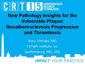 New Pathology Insights for the Vulnerable Plaque Neoatherosclerosis
