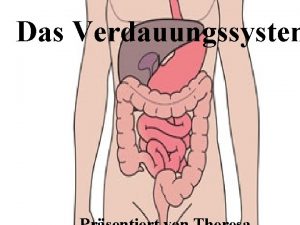 Das Verdauungssystem Was ist das Verdauungssystem eigentlich Mit