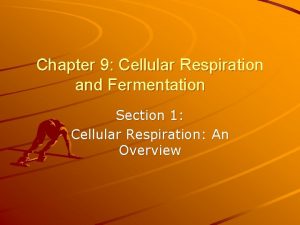 Chapter 9 Cellular Respiration and Fermentation Section 1