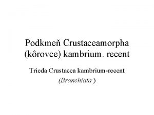 Vzdušnicovce