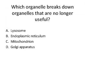 Which organelle breaks down organelles that are no