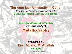 The American University in Cairo Mechanical Engineering Department
