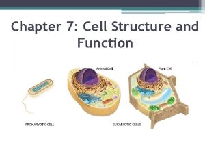 Chapter 7 Cell Structure and Function Cells Smallest