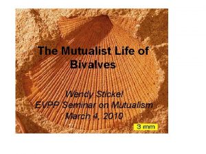 The Mutualist Life of Bivalves Wendy Stickel EVPP