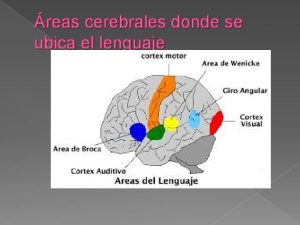 Webgrafa Webgrafa