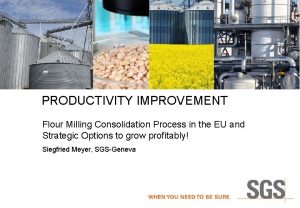 PRODUCTIVITY IMPROVEMENT Flour Milling Consolidation Process in the