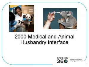 2000 Medical and Animal Husbandry Interface 1 Working