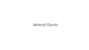 Adrenal Glands Adrenal Glands The adrenal glands suprarenal