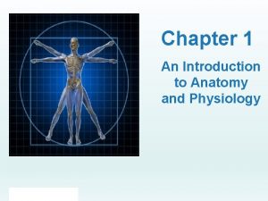 Chapter 1 an introduction to anatomy and physiology