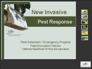 New Invasive Pest Response Pest Detection Emergency Projects