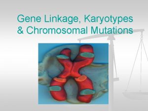 Chromosomal mutation