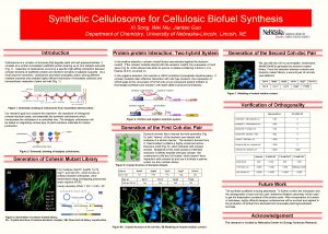 Synthetic Cellulosome for Cellulosic Biofuel Synthesis Xi Song