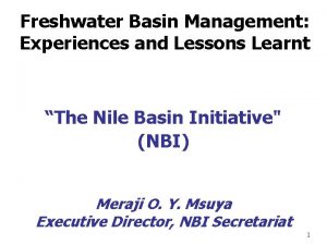 Freshwater Basin Management Experiences and Lessons Learnt The