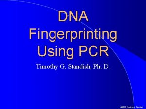 DNA Fingerprinting Using PCR Timothy G Standish Ph
