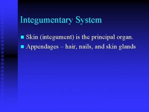 Integumentary System Skin integument is the principal organ