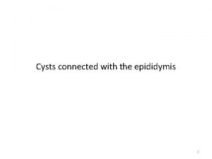 Cysts connected with the epididymis 1 Types Cysts