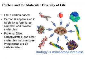 Carbon and the Molecular Diversity of Life Life