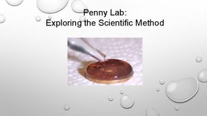 Penny Lab Exploring the Scientific Method Step 1