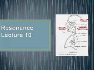 Resonance Lecture 10 Resonance 3 Types Pharyngeal Oral
